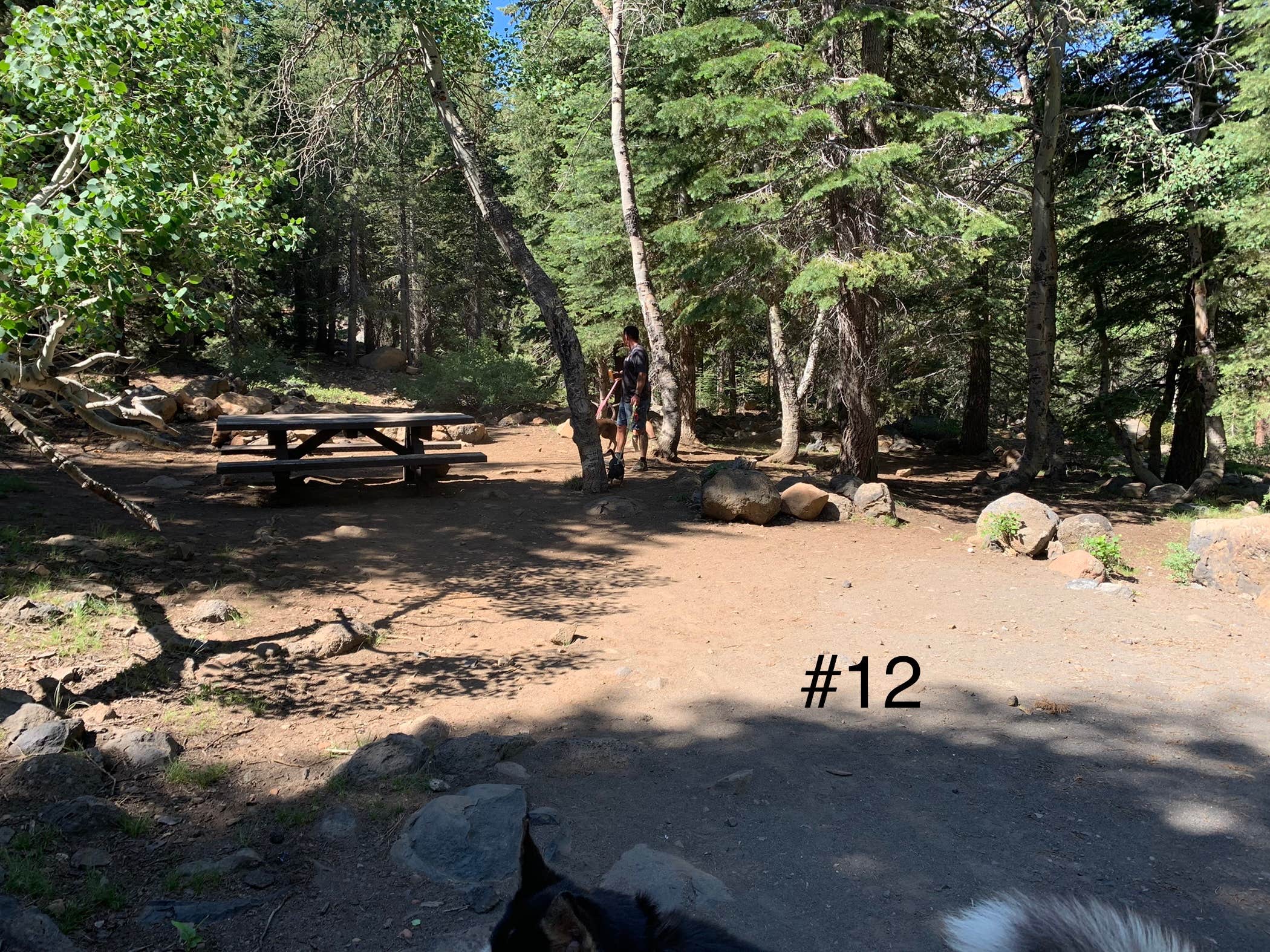 Camper submitted image from Crater Lake Campground - 5