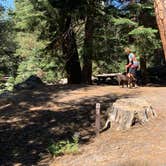 Review photo of Crater Lake Campground by Susan R., June 27, 2021