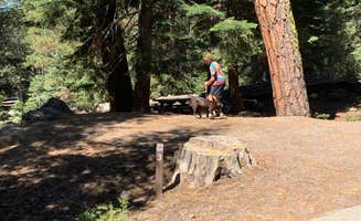 Susan R.'s photo of camping with pets at Crater Lake Campground near Mill Creek, CA