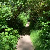 Review photo of Elk Prairie Campground — Prairie Creek Redwoods State Park by Susan R., May 27, 2021