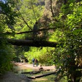 Review photo of Elk Prairie Campground — Prairie Creek Redwoods State Park by Susan R., May 27, 2021