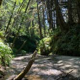 Review photo of Elk Prairie Campground — Prairie Creek Redwoods State Park by Susan R., May 27, 2021