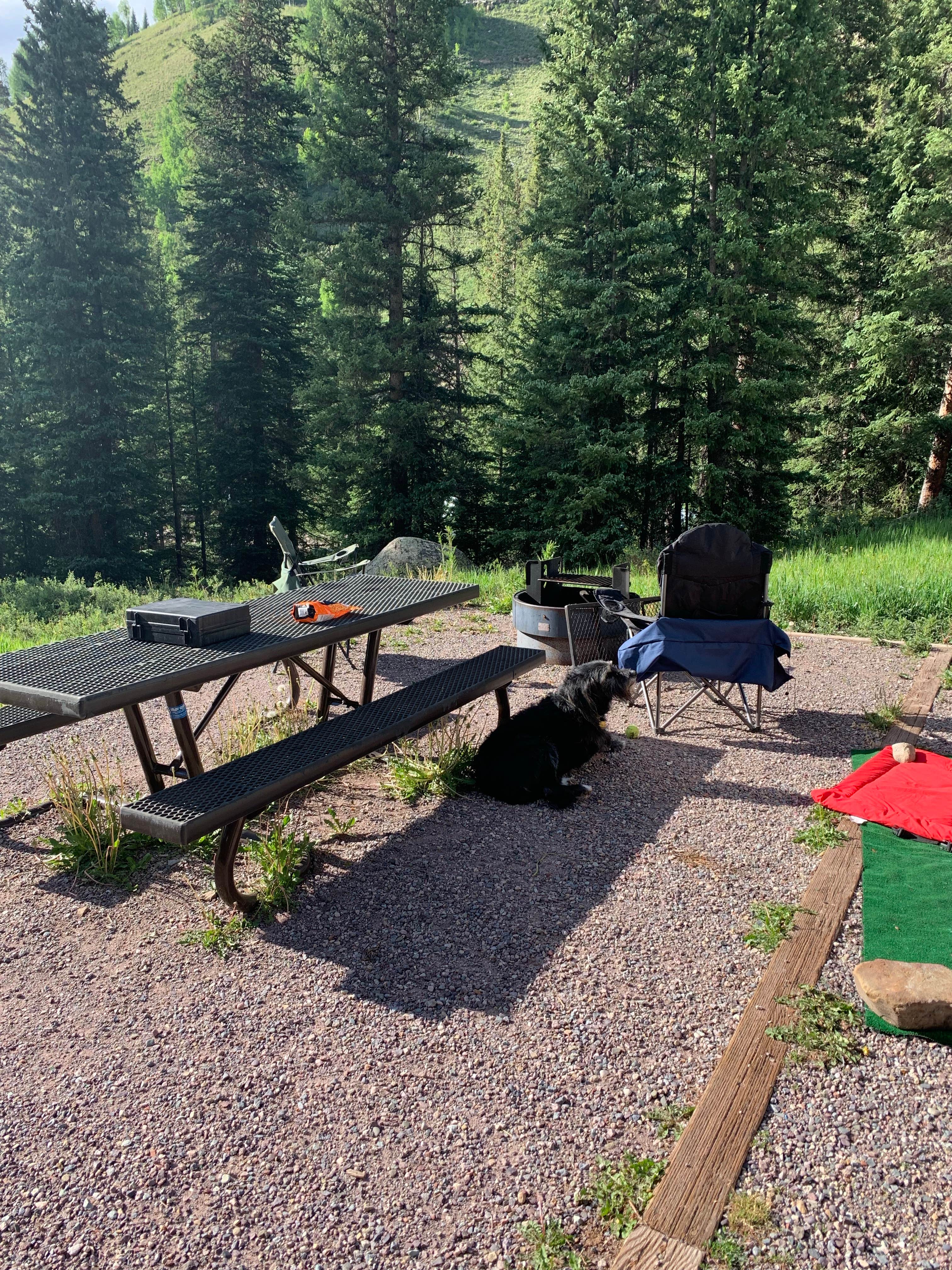 Camper submitted image from Cayton Campground - 5