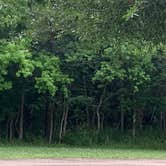 Review photo of Fontainebleau State Park Campground by Cindy S., June 27, 2021