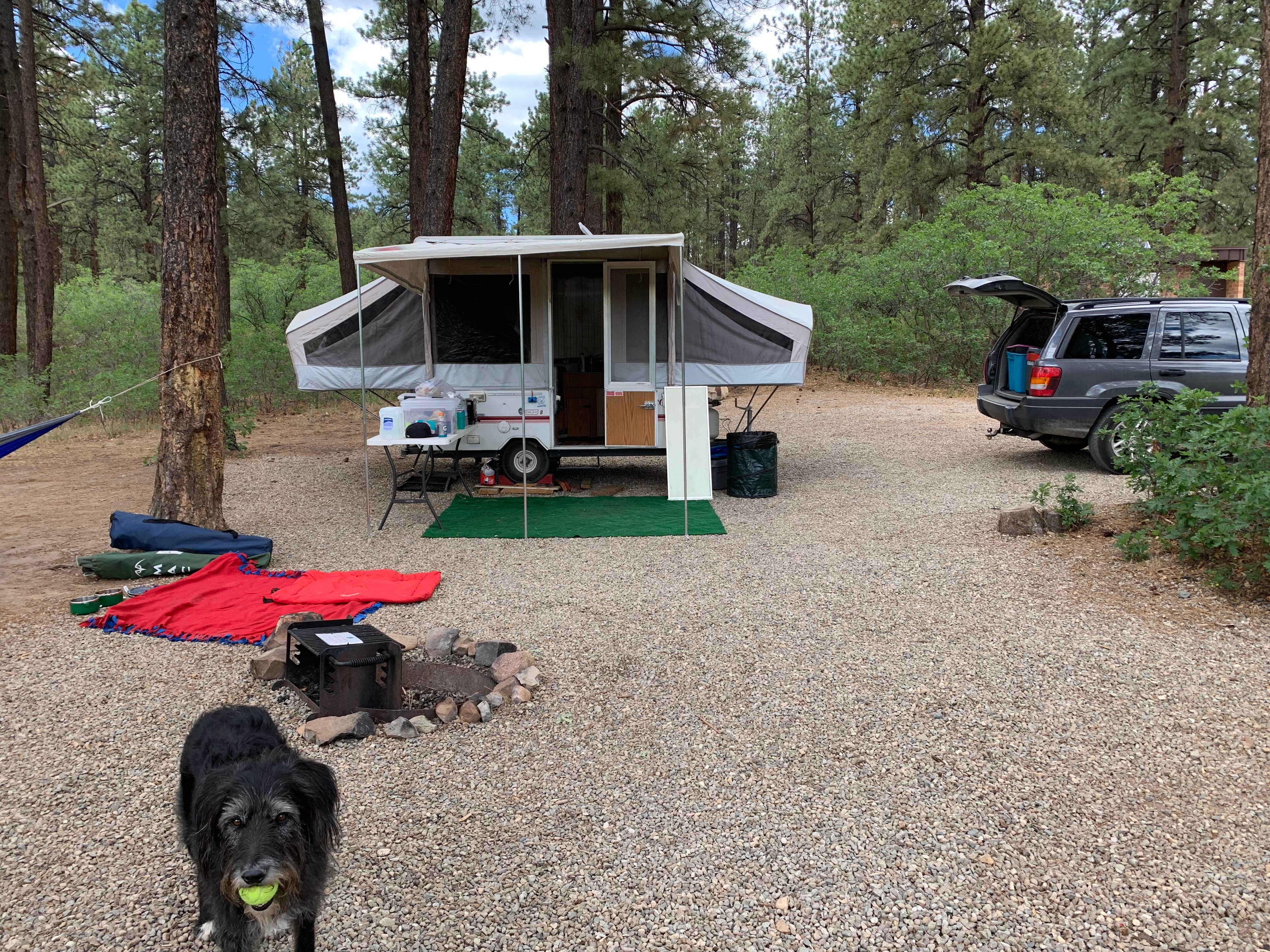 Jill M.'s photo of camping with pets at Mancos State Park Campground near Mesa Verde National Park