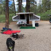 Review photo of Mancos State Park Campground by Jill M., June 27, 2021