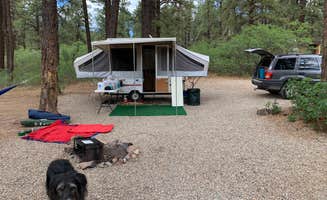 Jill M.'s photo of camping with pets at Mancos State Park Campground near Mesa Verde National Park