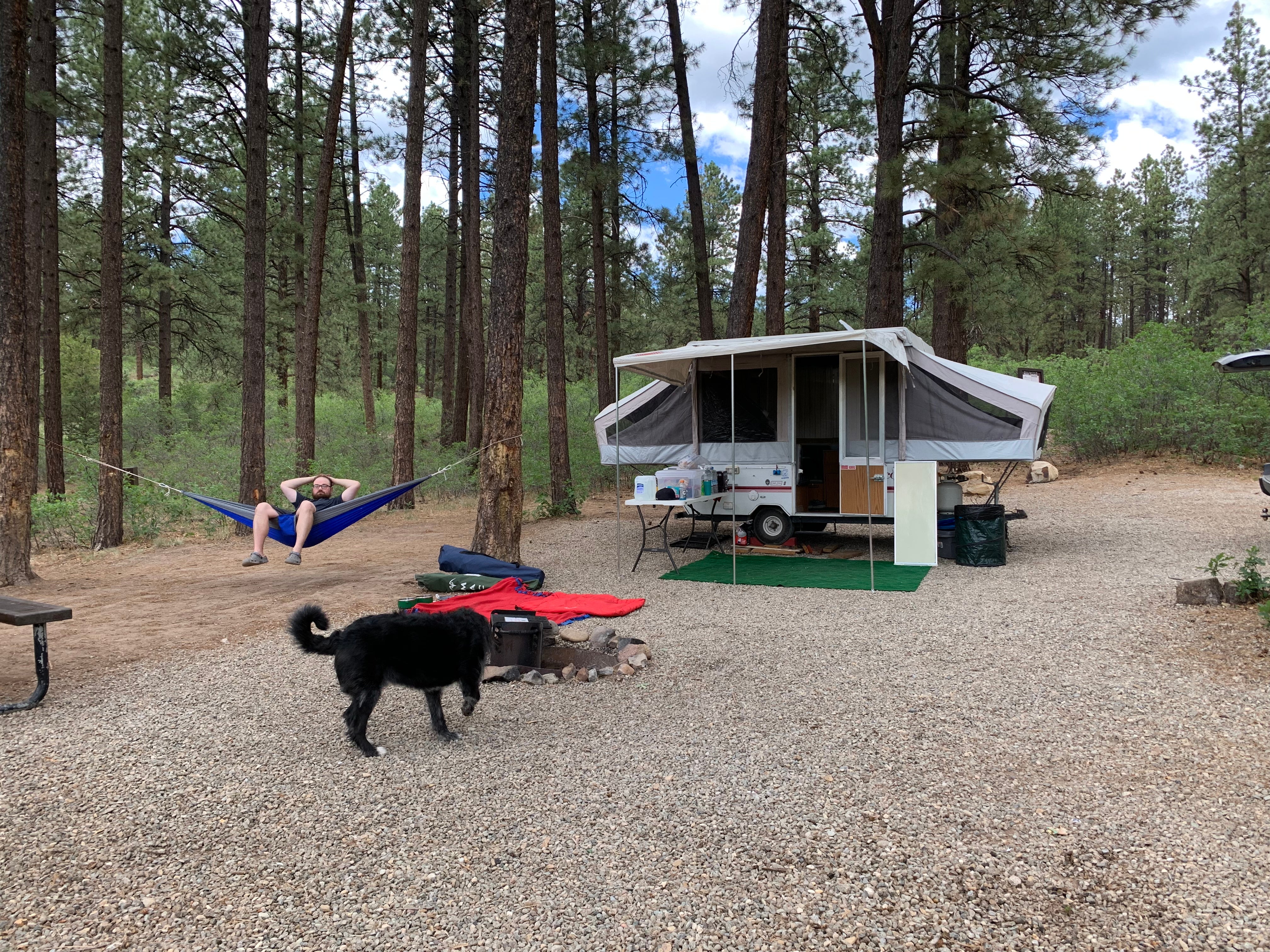 Camper submitted image from Mancos State Park Campground - 5