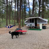 Review photo of Mancos State Park Campground by Jill M., June 27, 2021