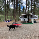Review photo of Mancos State Park Campground by Jill M., June 27, 2021