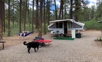 Jill M.'s photo at Mancos State Park Campground near Mancos, CO