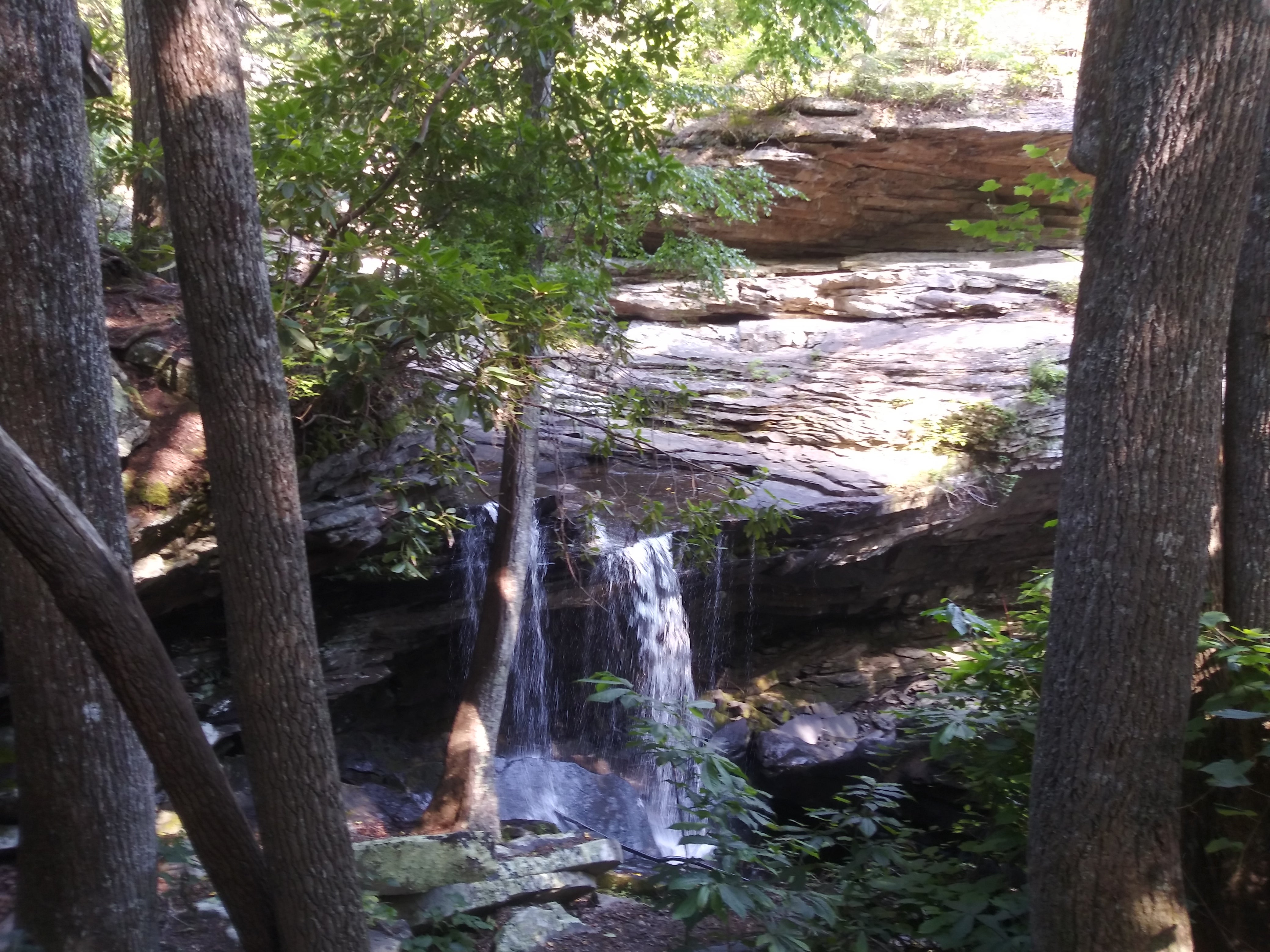 Camper submitted image from Laurel Snow — Cumberland Trail - 1