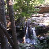 Review photo of Laurel Snow — Cumberland Trail by Joshua C., June 28, 2021