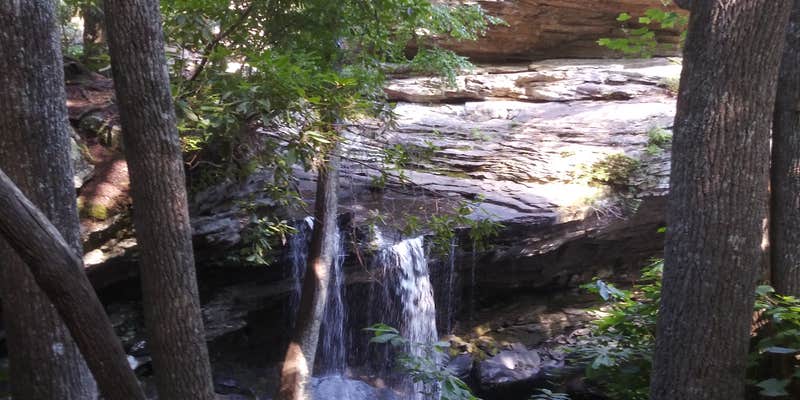 Camper submitted image from Laurel Snow — Cumberland Trail