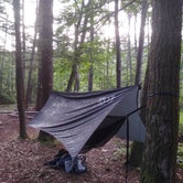 Review photo of Laurel Snow — Cumberland Trail by Joshua C., June 28, 2021