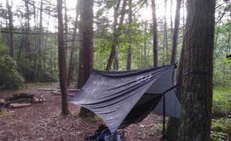 Joshua C.'s photo of tent camping at Laurel Snow — Cumberland Trail near Cleveland, TN