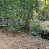 Review photo of Roxie Peconom Campground by Susan R., June 28, 2021