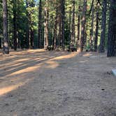 Review photo of Roxie Peconom Campground by Susan R., June 28, 2021