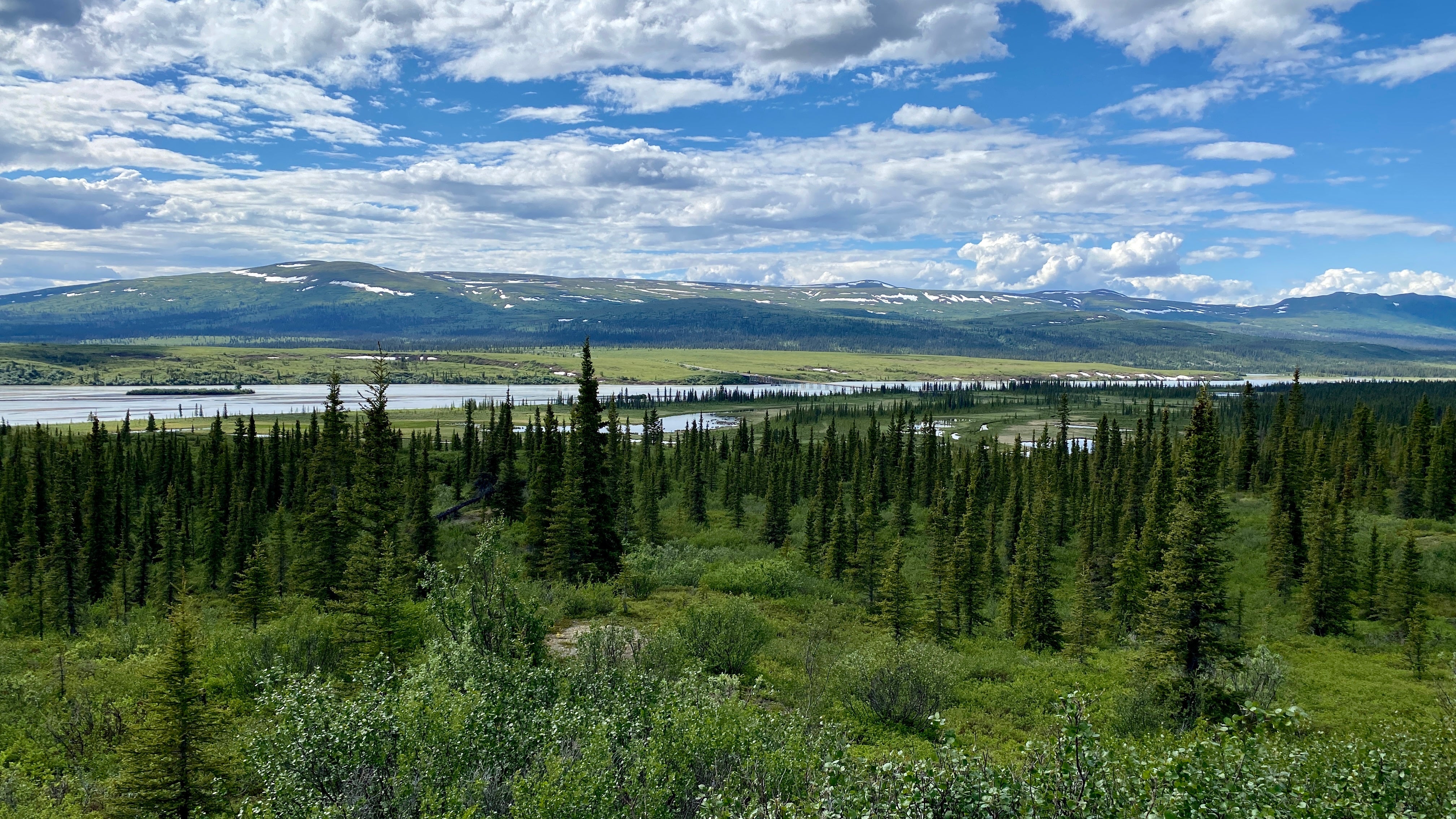 Camper submitted image from Denali Highway - Dispersed Site - 1