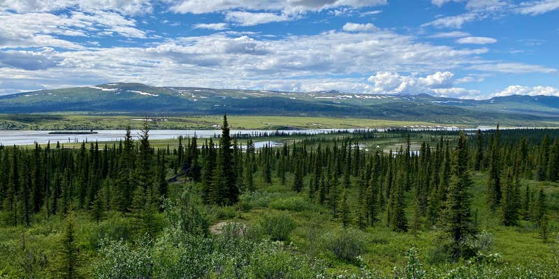 Camper submitted image from Denali Highway - Dispersed Site