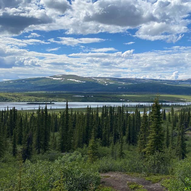 Denali Highway Dispersed Site Camping Cantwell, AK