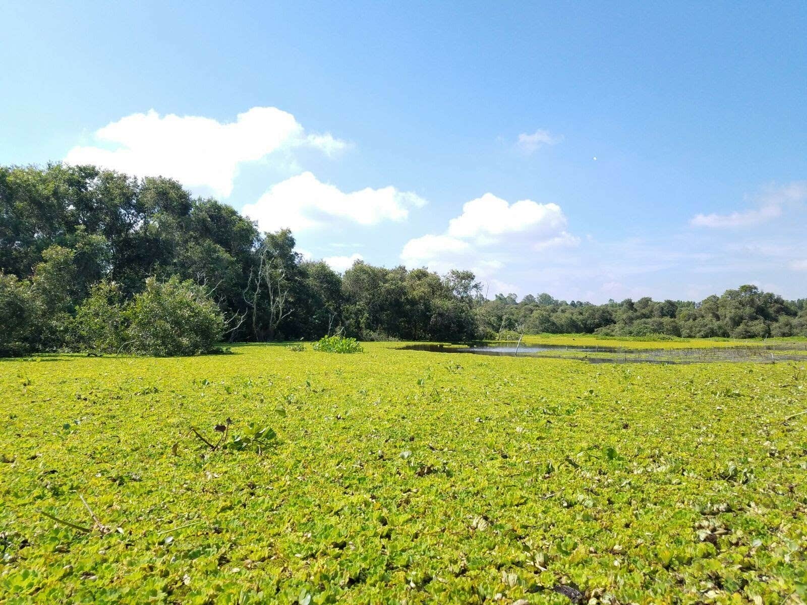 Camper-submitted photo at Palmetto State Park Campground near Seguin, TX