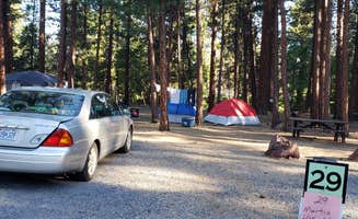 Jenny M.'s photo at Creekside Sisters City Park near Redmond, OR