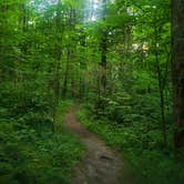 Review photo of Cosby Campground — Great Smoky Mountains National Park by Tucker B., June 28, 2021