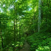 Review photo of Cosby Campground — Great Smoky Mountains National Park by Tucker B., June 28, 2021