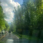 Review photo of Cosby Campground — Great Smoky Mountains National Park by Tucker B., June 28, 2021