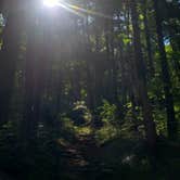 Review photo of Cosby Campground — Great Smoky Mountains National Park by Tucker B., June 28, 2021