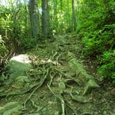 Review photo of Cosby Campground — Great Smoky Mountains National Park by Tucker B., June 28, 2021