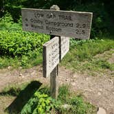 Review photo of Cosby Campground — Great Smoky Mountains National Park by Tucker B., June 28, 2021