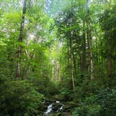 Review photo of Cosby Campground — Great Smoky Mountains National Park by Tucker B., June 28, 2021