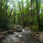 Review photo of Cosby Campground — Great Smoky Mountains National Park by Tucker B., June 28, 2021