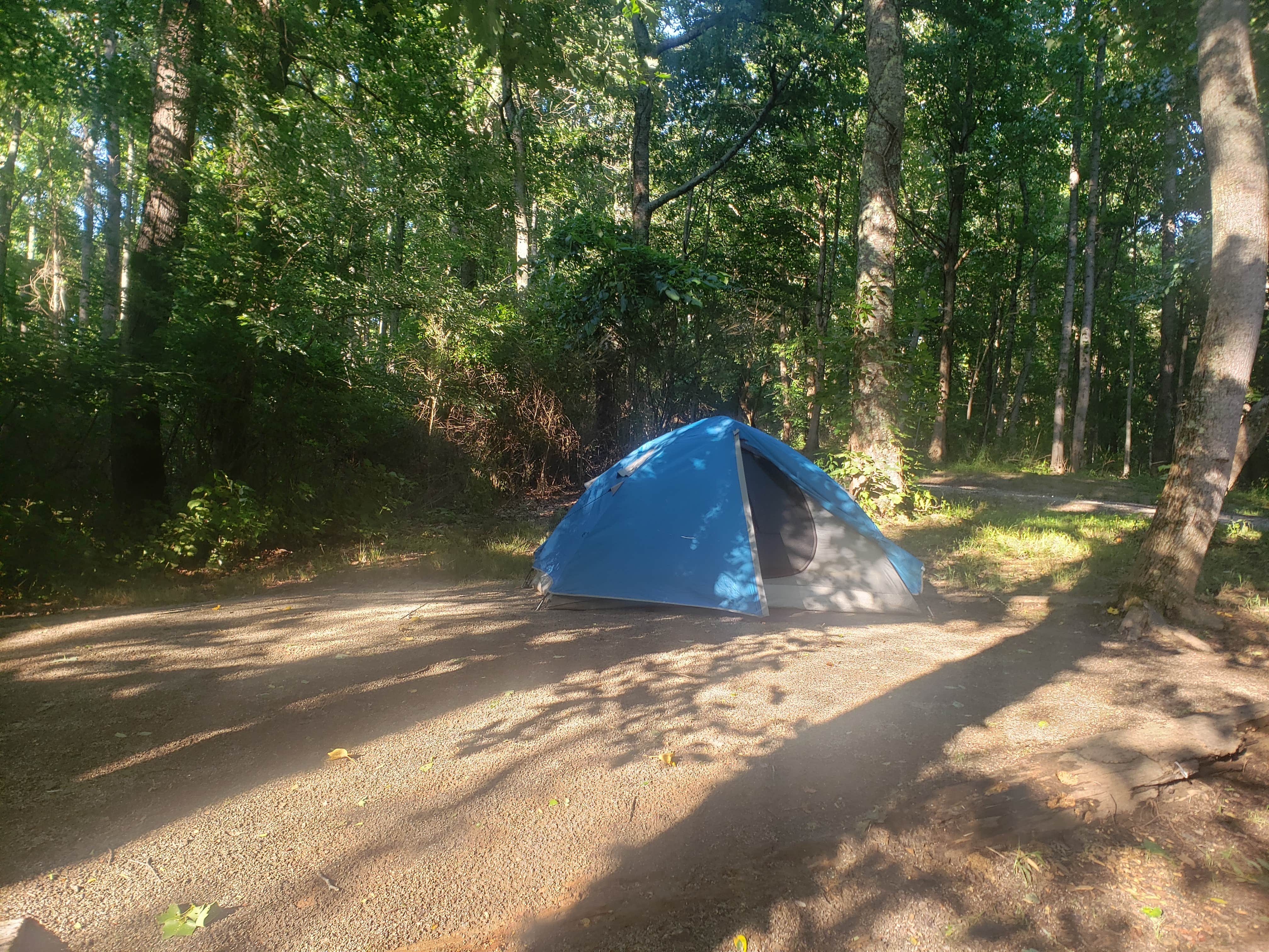 Tucker B.'s photo at Campfire Lodgings near Swannanoa, NC