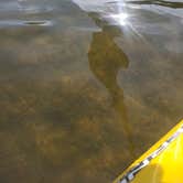 Review photo of Paddy's Creek — Lake James State Park by Tucker B., June 28, 2021