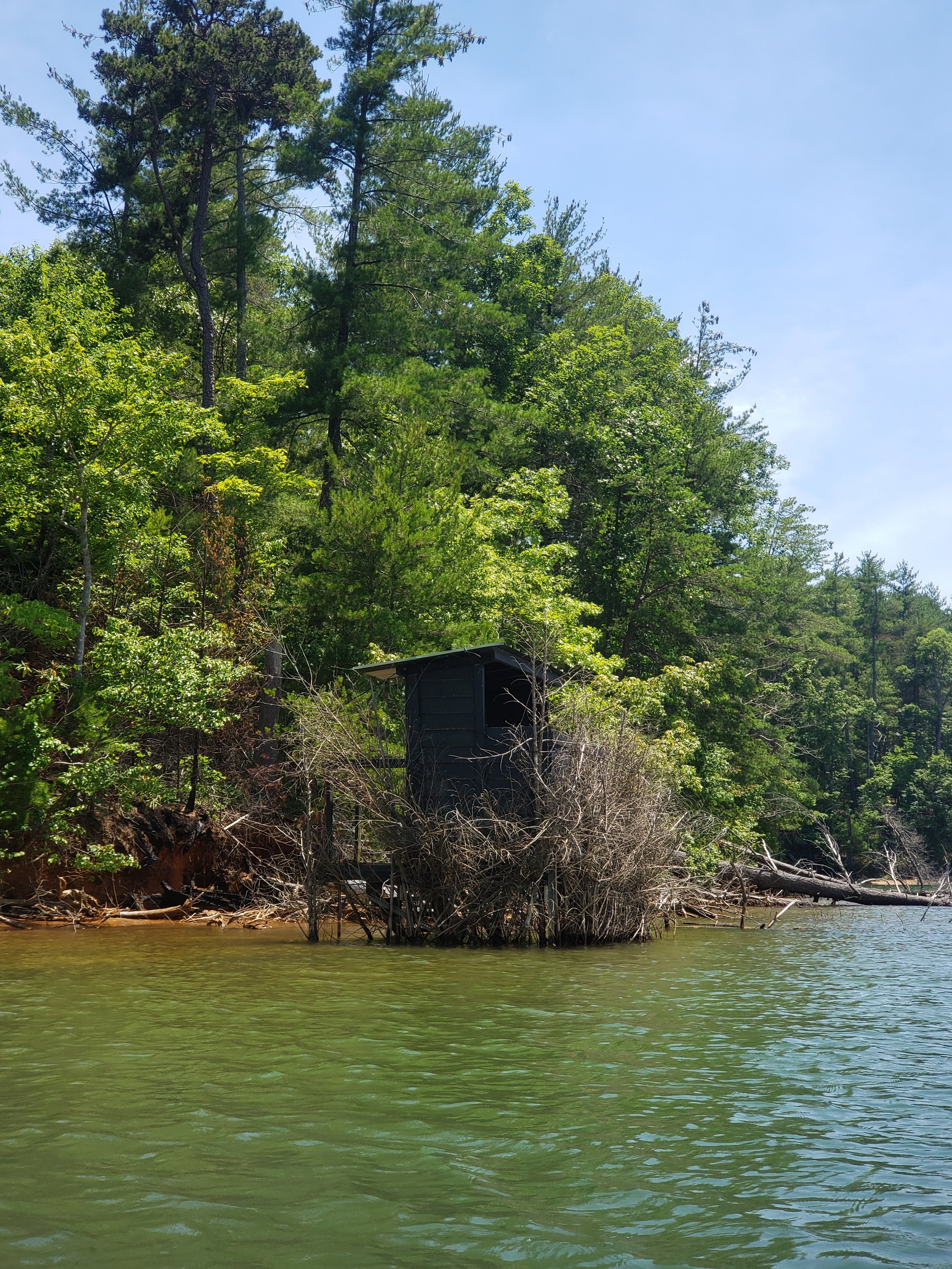 Camper submitted image from Paddy's Creek — Lake James State Park - 5