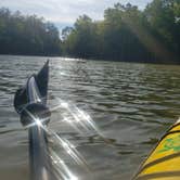 Review photo of Paddy's Creek — Lake James State Park by Tucker B., June 28, 2021