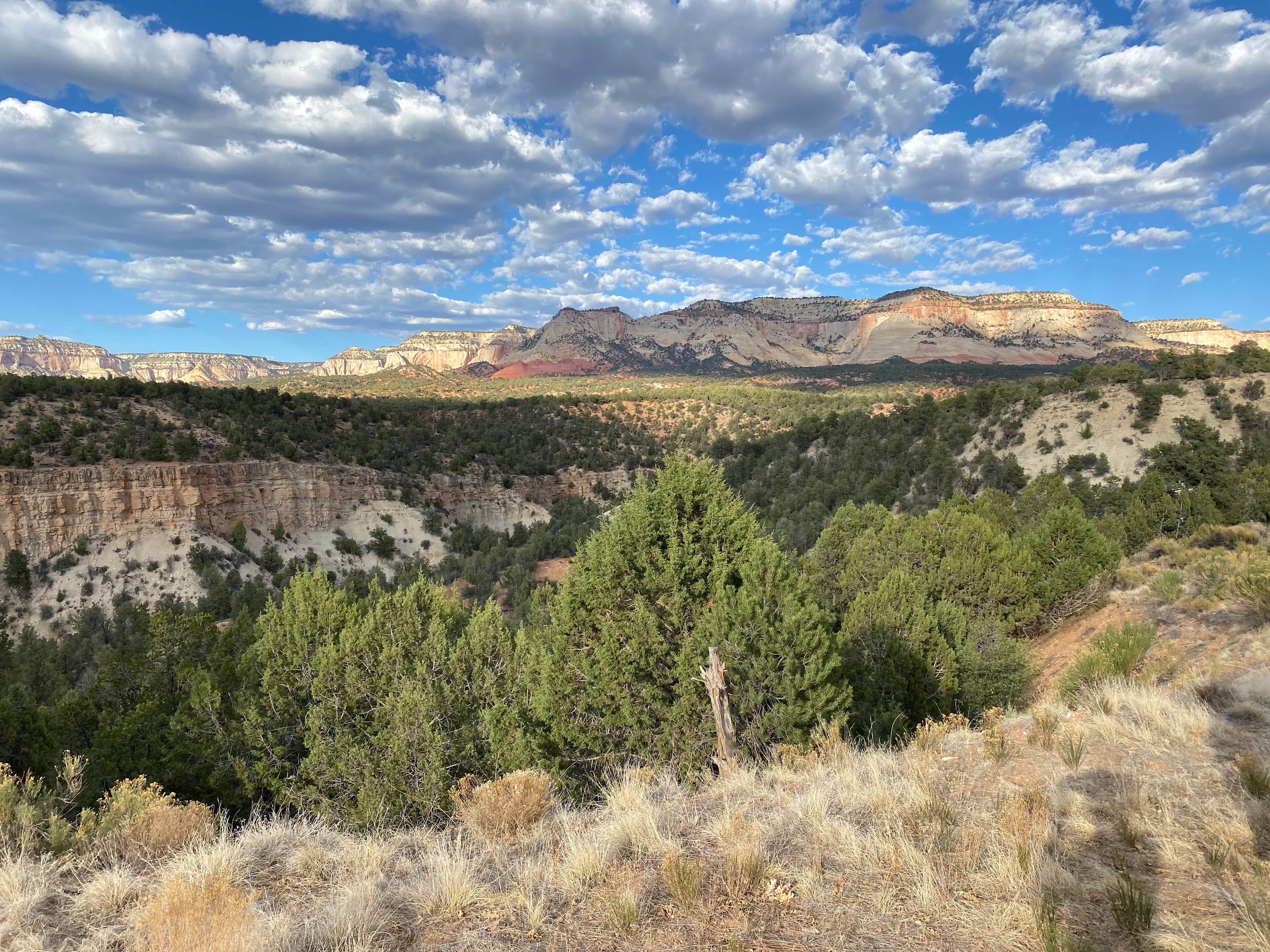 Camper-submitted photo at Mt Carmel Old 89 Dispersed Camping near Colorado City, AZ