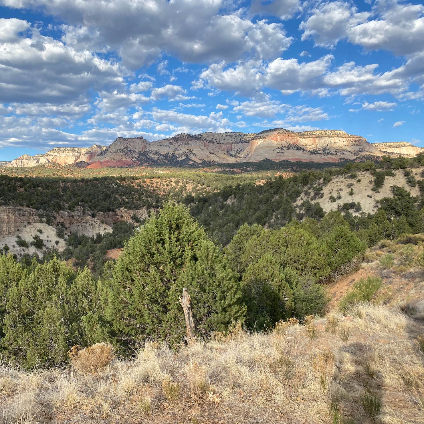 Mt Carmel Old 89 Dispersed Camping Camping The Dyrt