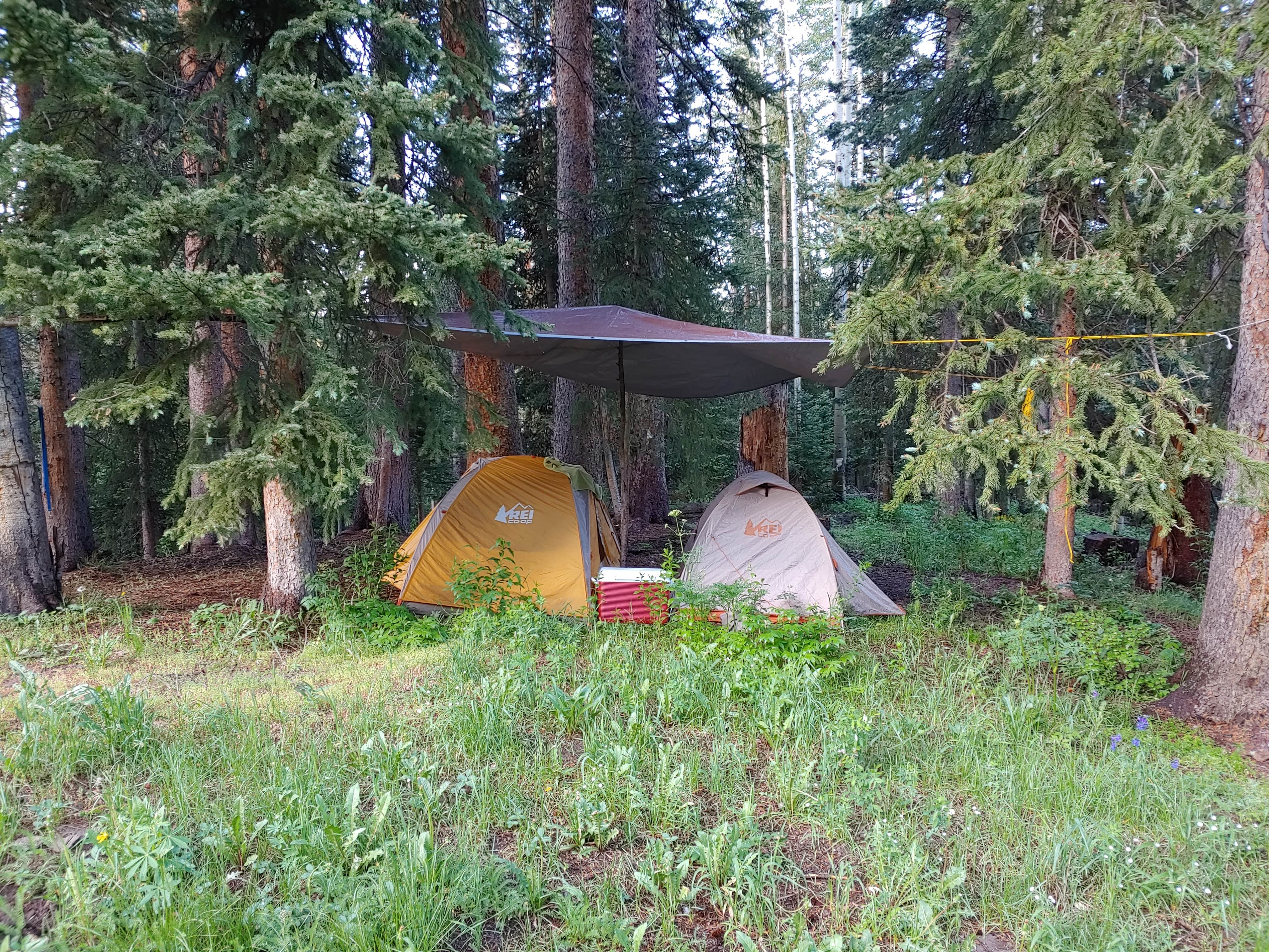 morgan's photo at Four Mile Road Dispersed near Rifle, CO