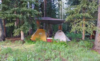 morgan's photo of a dispersed camping area at Four Mile Road Dispersed near New Castle, CO