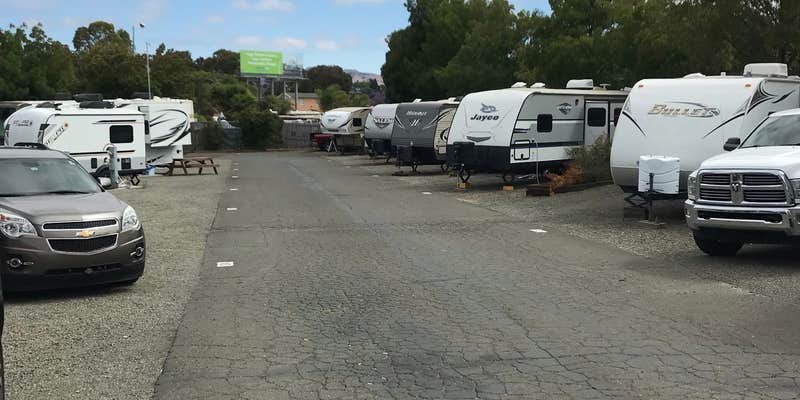 Camper submitted image from Tradewinds RV Park