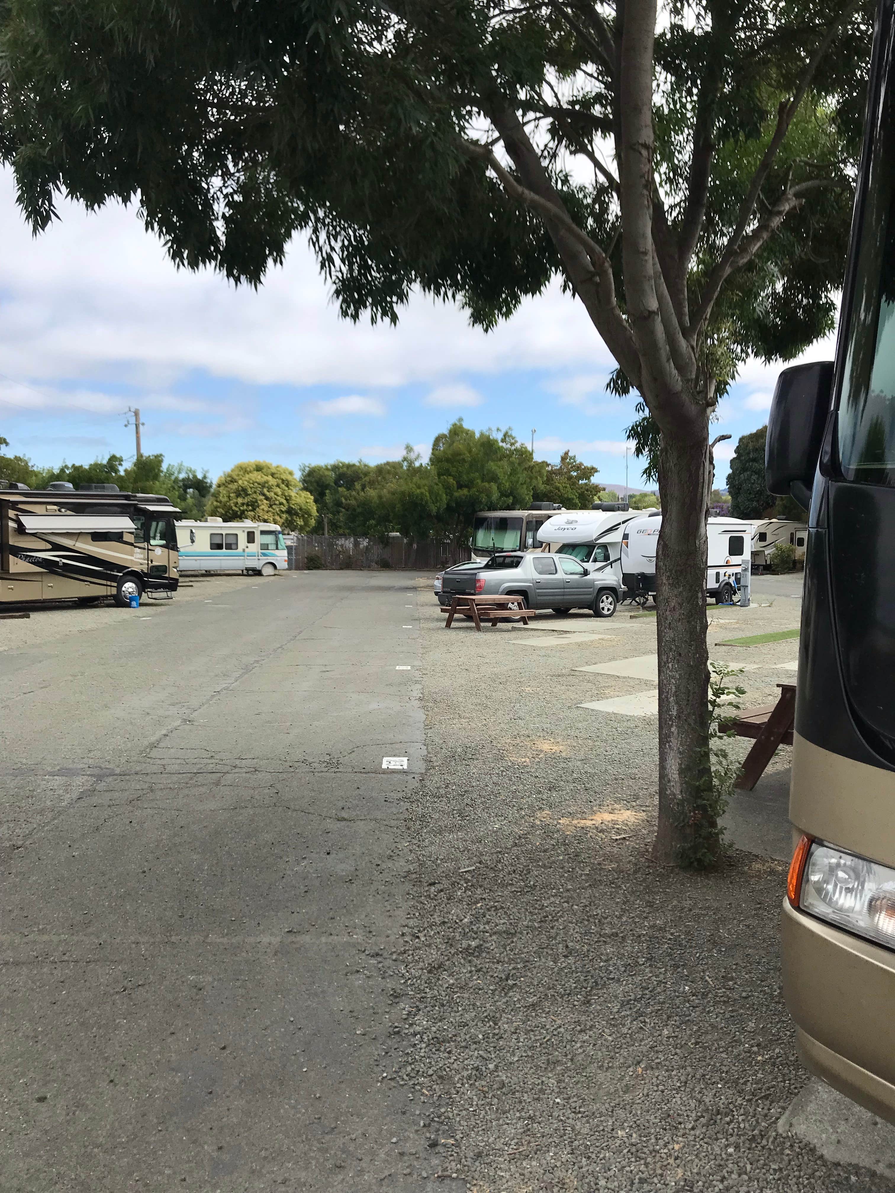 Camper-submitted photo at Tradewinds RV Park near Martinez, CA