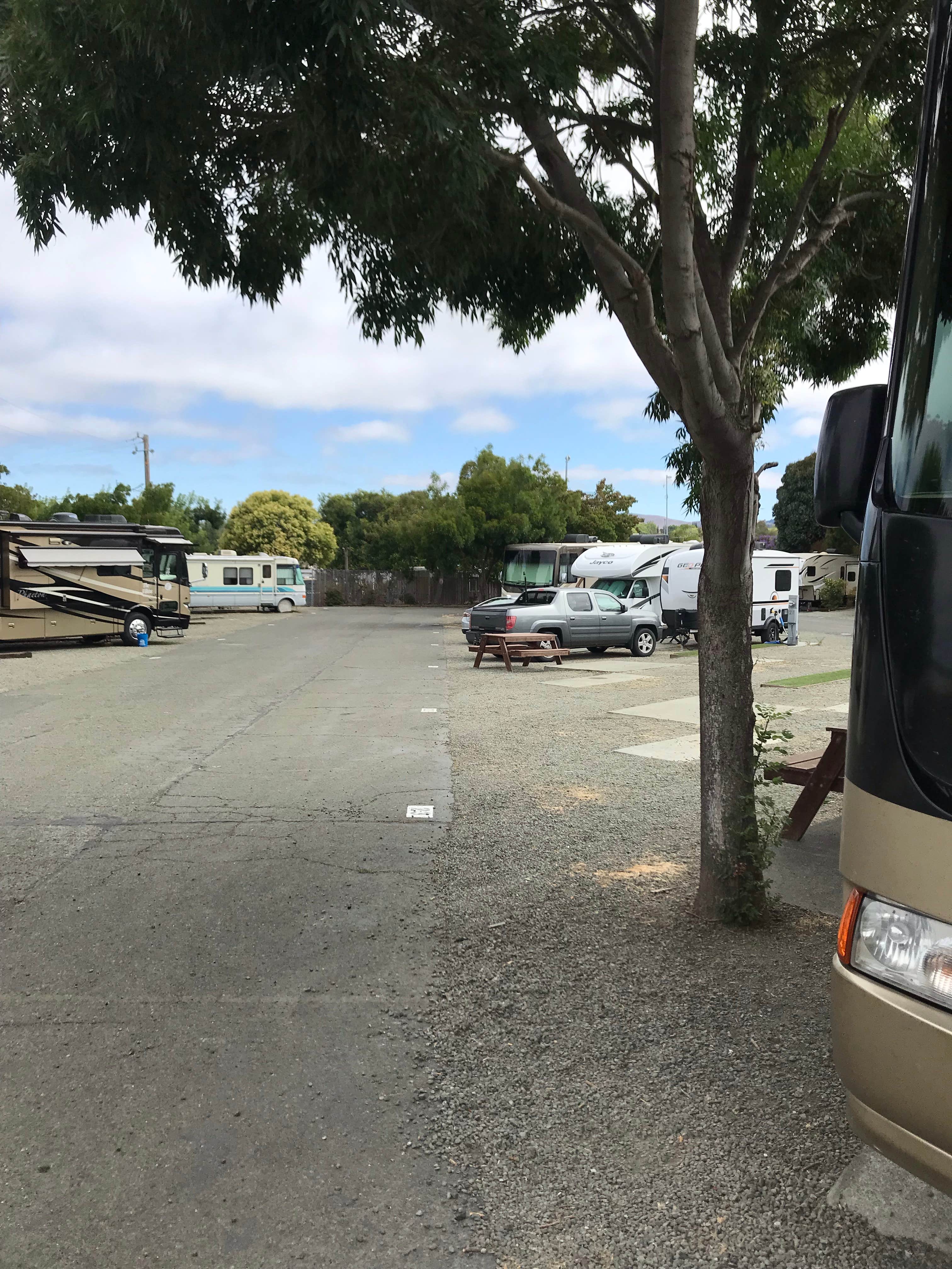 Camper submitted image from Tradewinds RV Park - 2