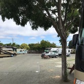 Review photo of Tradewinds RV Park by Mike H., June 28, 2021