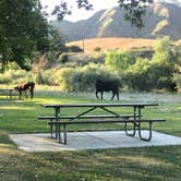 Review photo of Lake Piru Recreation Area by Kristina B., June 28, 2021