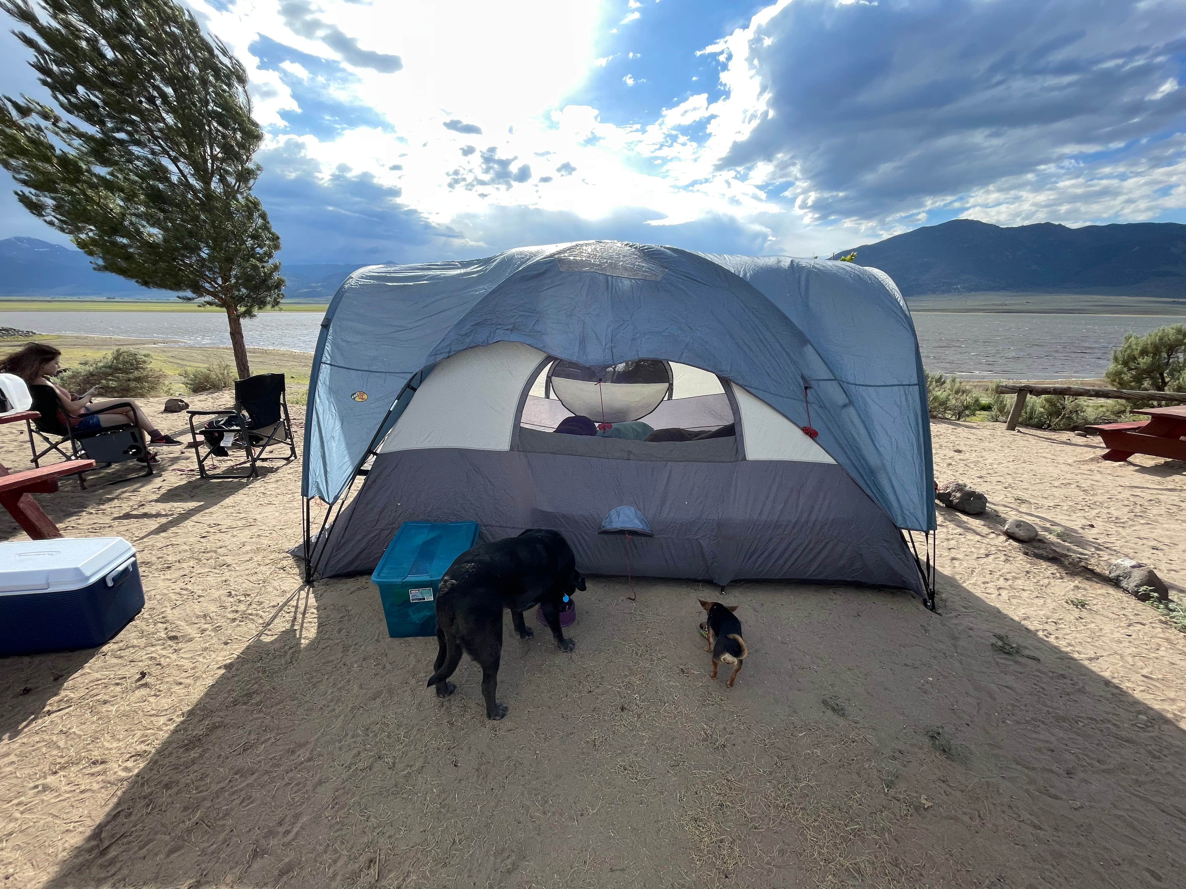Angie R.'s photo of camping with pets at Bridgeport Reservoir RV Park and Marina near Bridgeport, CA