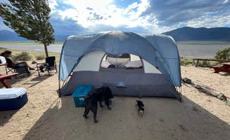 Angie R.'s photo of camping with pets at Bridgeport Reservoir RV Park and Marina near Bridgeport, CA